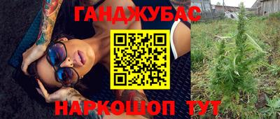 прущие грибы Чебоксары