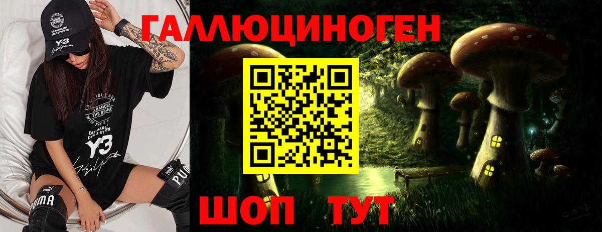 Лангепас  Галлюциногенные грибы Psilocybine cubensis  Вход с VPN  Галлюциногенные грибы GOLDEN TEACHER 